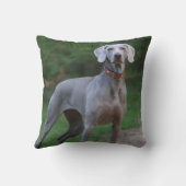 ワイマラナーパピードッグ クッション (裏面)