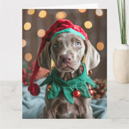 ワイマラナー小妖精や小人子犬クリスマスカード カード