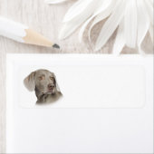 ワイマラナー差出人住所ラベル ラベル (インサイチュ)