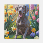 ワイマラナー犬と春の花の絵画 マグネット (正面)