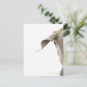 ワイマラナー2 ポストカード (スタンド正面)