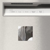 ワイマラナー3 マグネット (インサイチュ (食洗機))