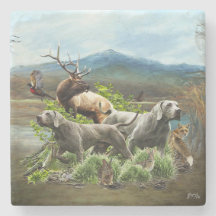 ワイマラナー「グレー幽霊」