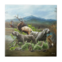 ワイマラナー「グレー幽霊」