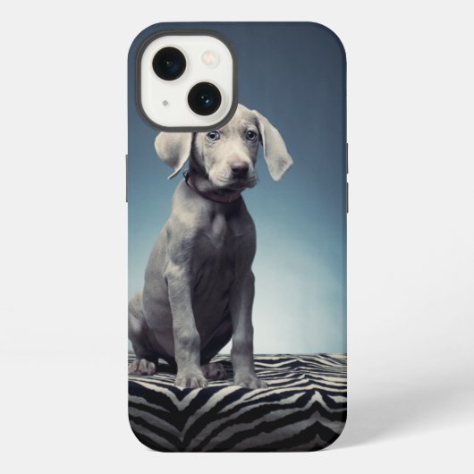ワイマラナー 子犬 iPhoneケース (裏面)