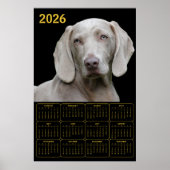 ワイマラナー 2026年カレンダー ポスター (正面)