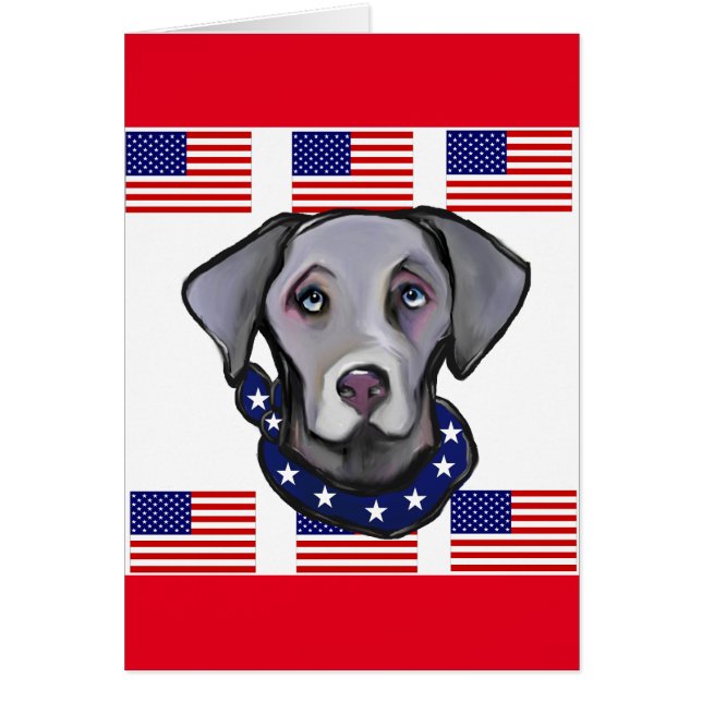 ワイマラナ (正面)