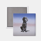 ワイマランアドッグ座ってビーチ マグネット (正面/裏面)