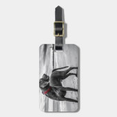 ワイマランアドッグ ラゲッジタグ (正面縦)