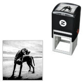 ワイマランオンビーチ セルフインキングスタンプ (インサイチュ)