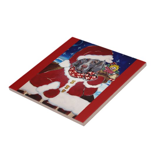 ワイマランサンタ タイル (側面)