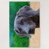 ワイマランダードッグジグサウ。 ジグソーパズル (縦)