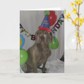 ワイマランナーバースデーグリーティングカード カード (黄色い花)