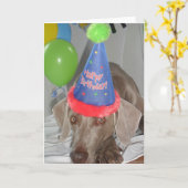 ワイマランナーバースデーグリーティングカード カード (黄色い花)