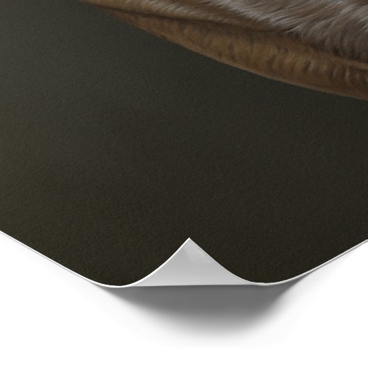 ワイマラン ポスター (角)