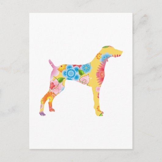 ワイマラン ポストカード (正面)