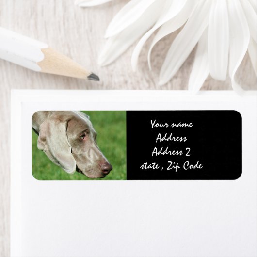 ワイマラン ラベル (インサイチュ)