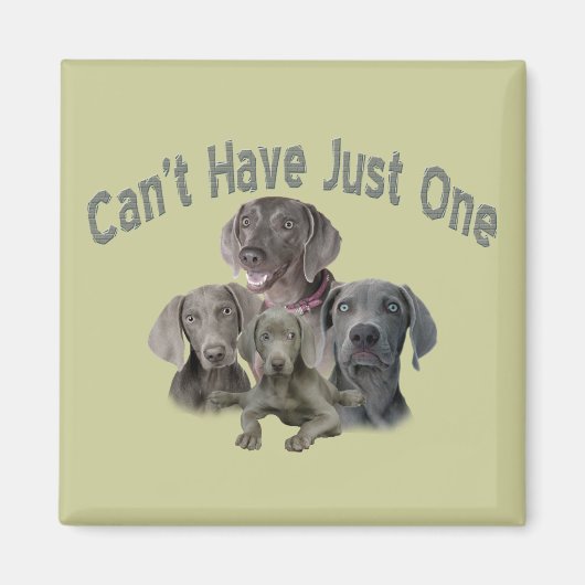 ワイマラーは1つしかない マグネット (正面)