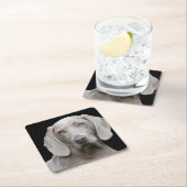 ワイマラーシルバーグレイ スクエアペーパーコースター (インサイチュ)