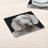 ワイマラーシルバーグレイ スクエアペーパーコースター (アングル)