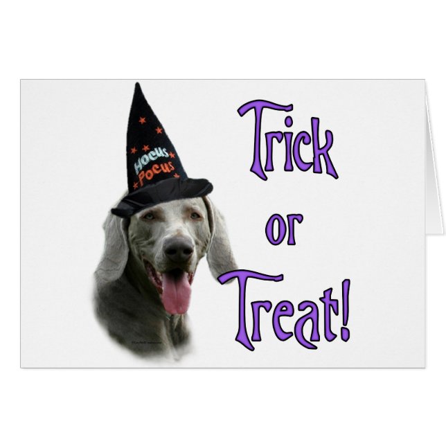 ワイマラートリック (正面横)