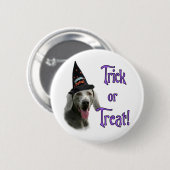 ワイマラートリック 缶バッジ (正面&裏面)