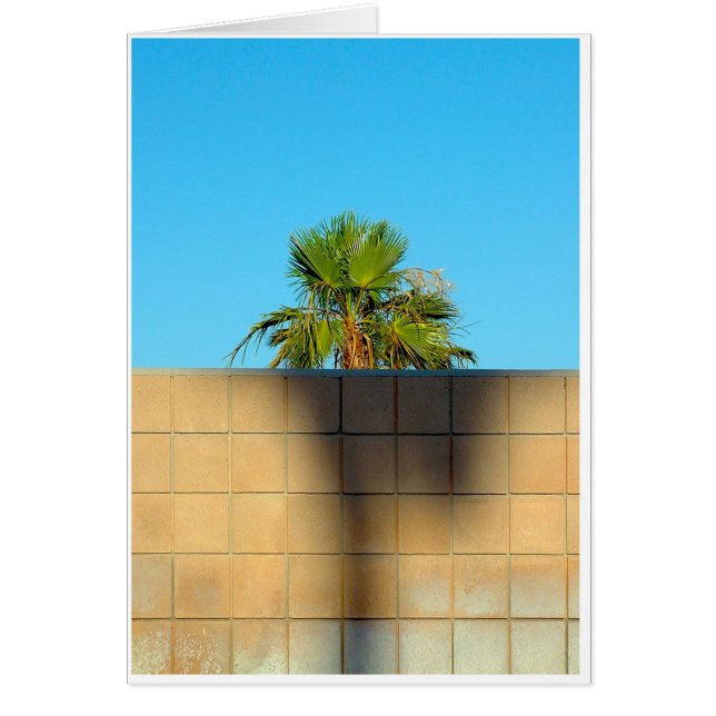 ワイマンの壁 (正面)