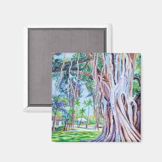 ワイメア プランテーション コテージのバニヤンの木 マグネット (正面/裏面)