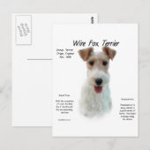 ワイヤキツネテリアの歴史;ワイヤフォックステリアについて ポストカード (正面/裏面)