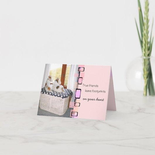 ワイヤキツネテリアグリーティング カード (正面)