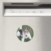 ワイヤキツネテリアパピーマグネット マグネット (インサイチュ (食洗機))