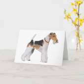 ワイヤキツネテリア カード (黄色い花)