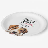 ワイヤキツネテリア ペーパープレート (アングル)