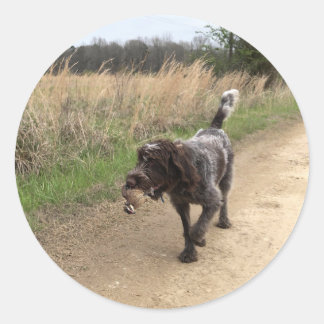 ワイヤフォールドのポインティンググリフォンquail狩りステッカー ラウンドシール