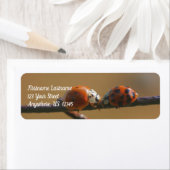 ワイヤフキスをするェンスの自然アドレスのLadybugs ラベル (インサイチュ)