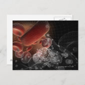 ワイヤフレーム内の赤血球 ポストカード (正面/裏面)