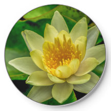 ワイヤレス充電器