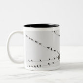 ワイヤーでとまる鳥 ツートーンマグカップ (左)