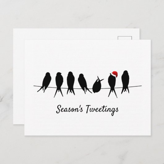 ワイヤーで打ち上げる、季節の翻弄 シーズンポストカード (正面/裏面)