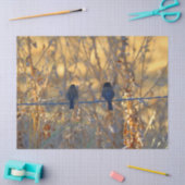 ワイヤーのロマンチックなすずめの鳥のカップル、写真 薄葉紙 (クラフト)