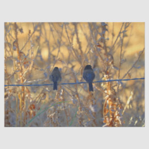 ワイヤーのロマンチックなすずめの鳥のカップル、写真 薄葉紙