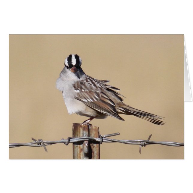 ワイヤーの鳥 (正面横)