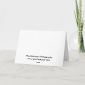 ワイヤーの"Redbirds" シーズンカード (裏面)