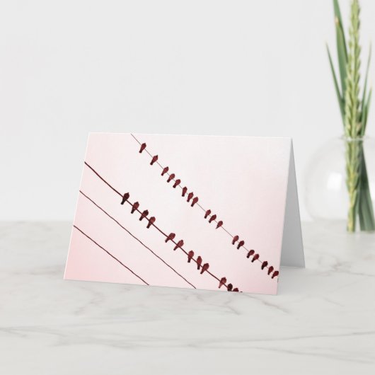 ワイヤーの"Redbirds" シーズンカード (正面)