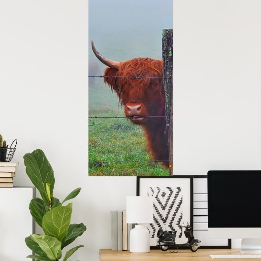 ワイヤーフェンスを噛む高地の牛 ポスター (ホームオフィス)