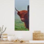 ワイヤーフェンスを噛む高地の牛 ポスター (キッチン)