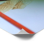 ワイヤーフェンス上のトンボ閉じる ポスター (角)