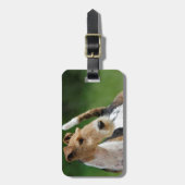 ワイヤーフォックステリア犬の荷物のラベル ラゲッジタグ (正面縦)