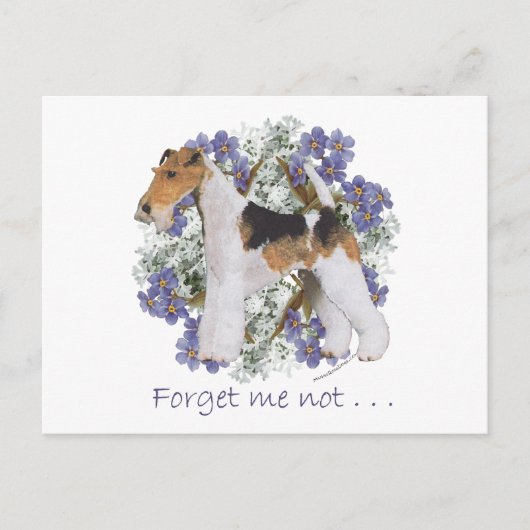 ワイヤーフォックステリア Forget-Me-Not ポストカード (正面)