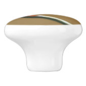 ワイヤーフキスをするェンスの上のラディバグがクローズアップ セラミックノブ (側面)